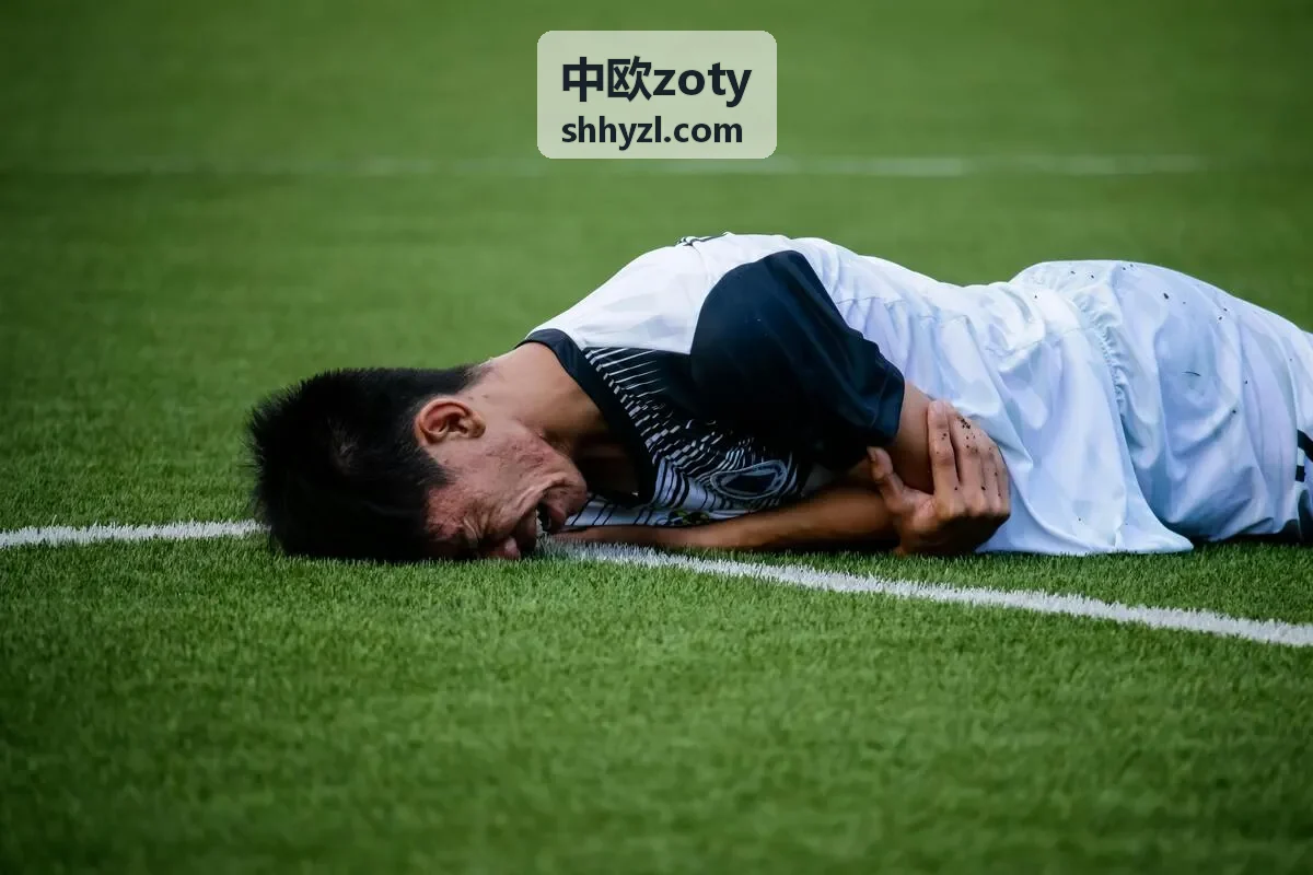 中欧zoty跨境桥梁连接网络